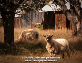  Farming 